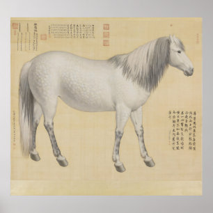 Grauschimmel-Pferd - Vintage chinesische Feinmaler Poster
