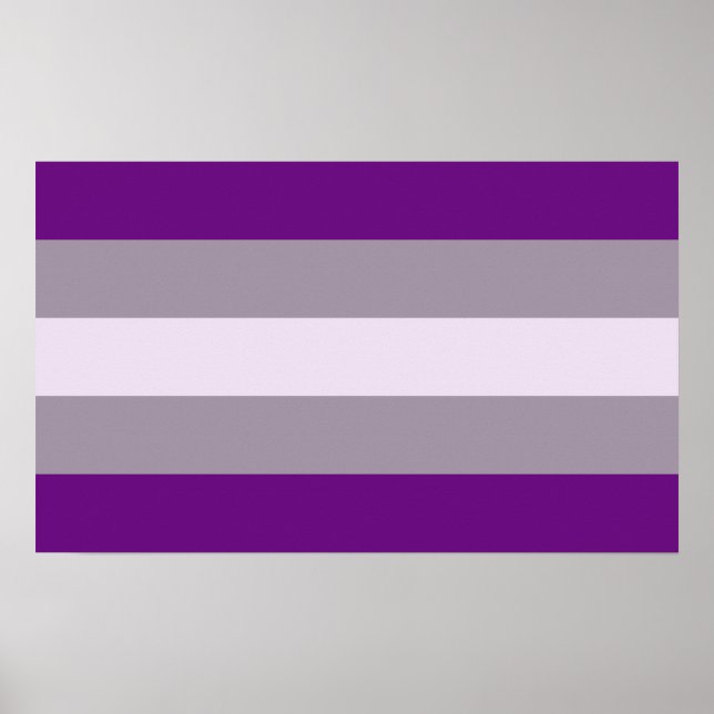Grausexueller Stolz Poster (Vorne)