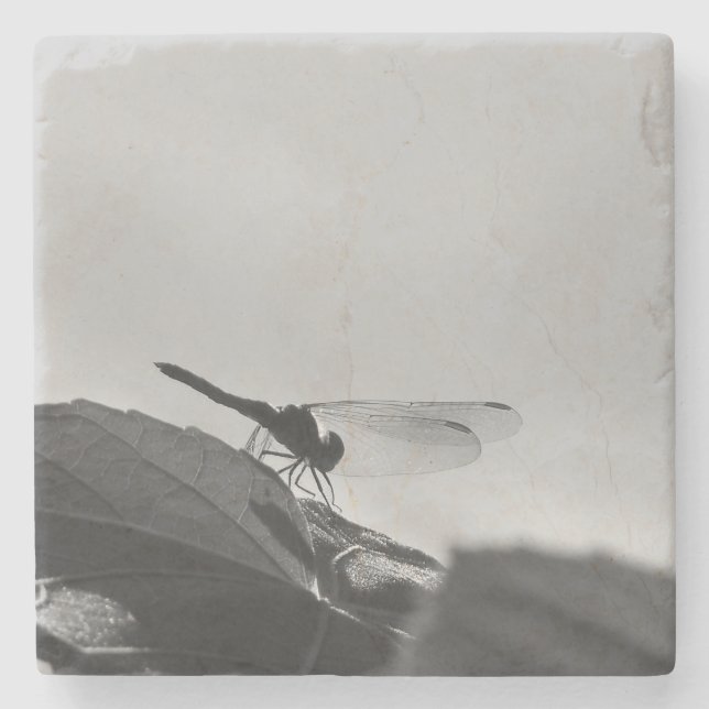 Graustufen-Dragonfly auf Stone-Untersetzer Steinuntersetzer (Vorderseite)