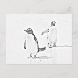 Graustufen-Farbpinguine Antarktis Postkarte