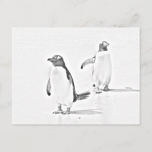 Graustufen-Farbpinguine Antarktis Postkarte (Vorderseite)