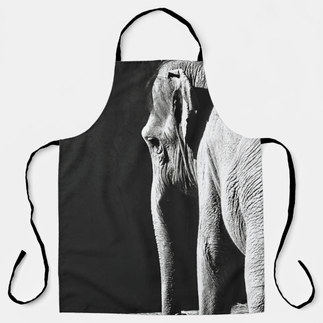 GRAUSTUFENBILD VON ELEFANT SCHÜRZE (Vorderseite)