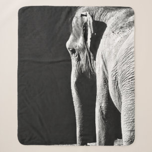 GRAUSTUFENBILD VON ELEFANT SHERPADECKE