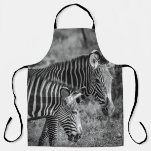 GRAUSTUFENFOTO VON ZEBRAS SCHÜRZE