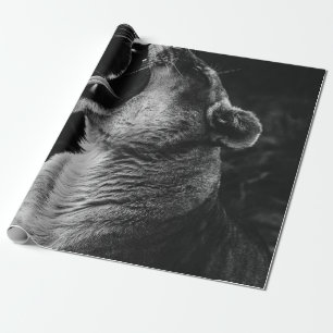 GRAUSTUFENFOTOGRAFIE EINER GÄHNENDEN LÖWIN GESCHENKPAPIER