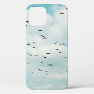 Grautaubenfliege am Vintagen blauen Himmel. Oben Case-Mate iPhone Hülle