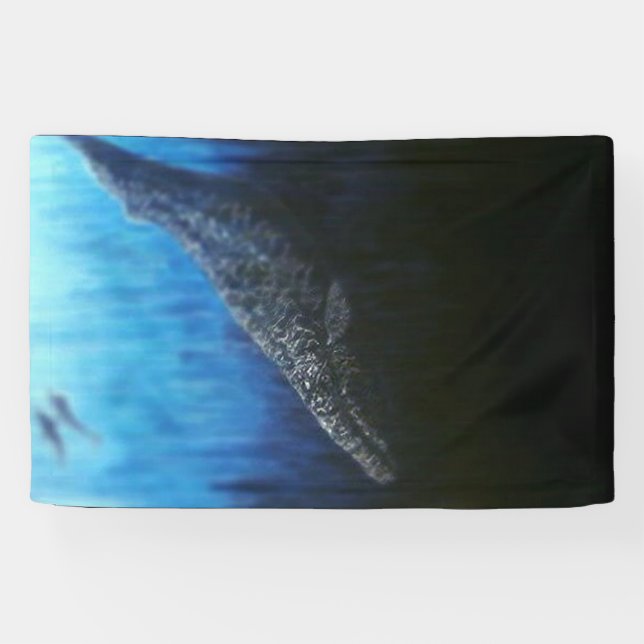 Grauwale Banner (Horizontal)