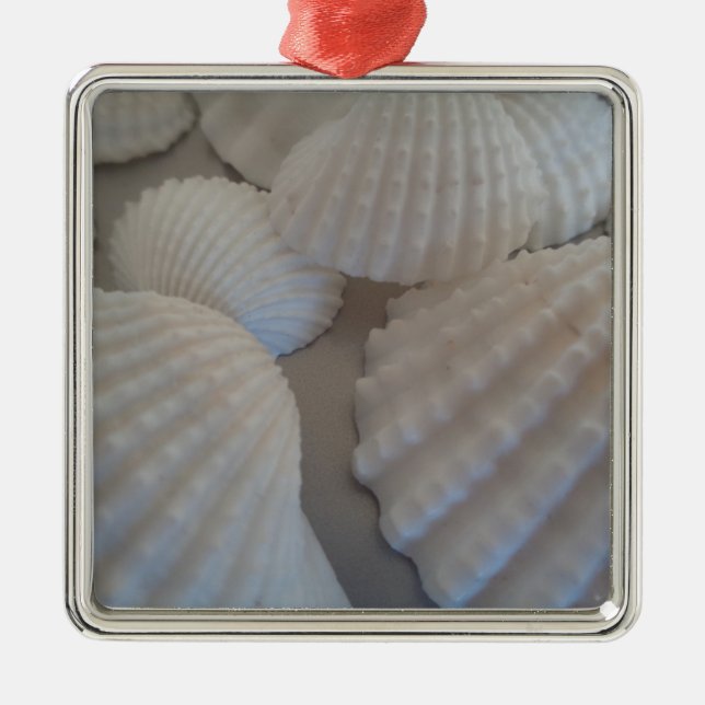 Grauweiß, Muscheln, Sea Muschel Summer Beach Liebe Ornament Aus Metall (Vorne)