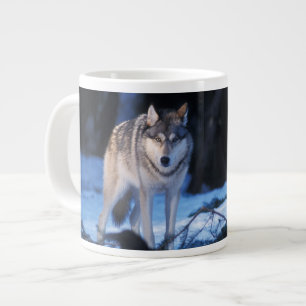 Grauwolf, Canis lupus, in den Vorgebirgen Jumbo-Tasse