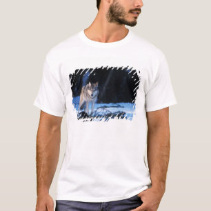 Grauwolf, Canis lupus, in den Vorgebirgen T-Shirt