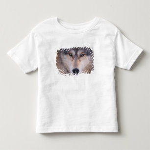 Grauwolf, Canis lupus, nah Kleinkind T-shirt