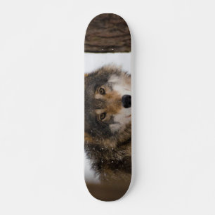 Grauwolf Skateboard