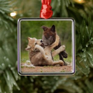 Grauwolf-Welpen ringen Ornament Aus Metall