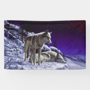 Grauwölfe im Winterschnee in der Nacht Banner