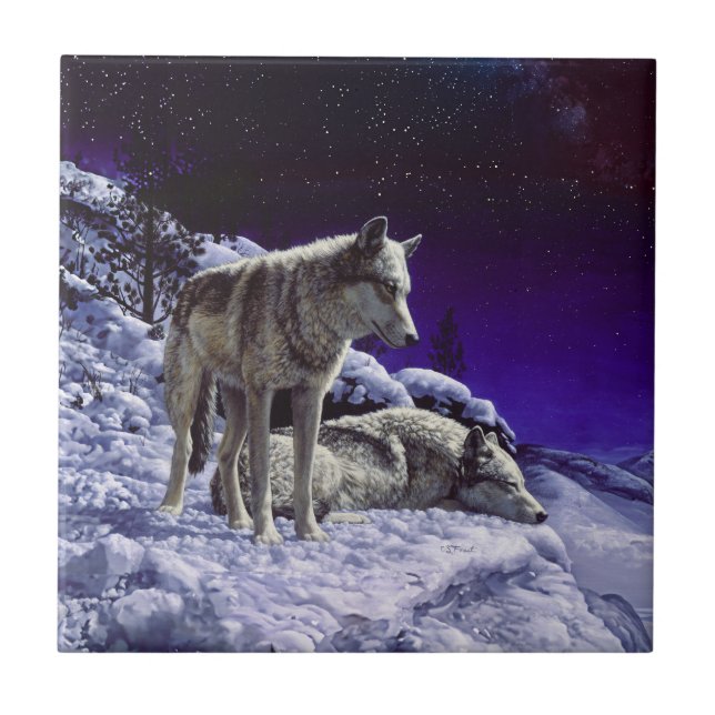 Grauwölfe im Winterschnee in der Nacht Fliese (Vorderseite)