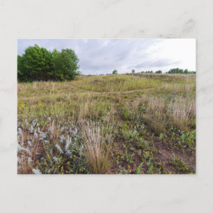 Grauwolke-Dünen Prärienlandschaft Postkarte