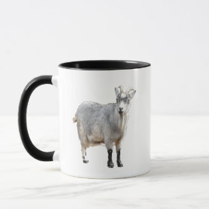 Grauziegenfarm Tiernaturfotografie Tasse