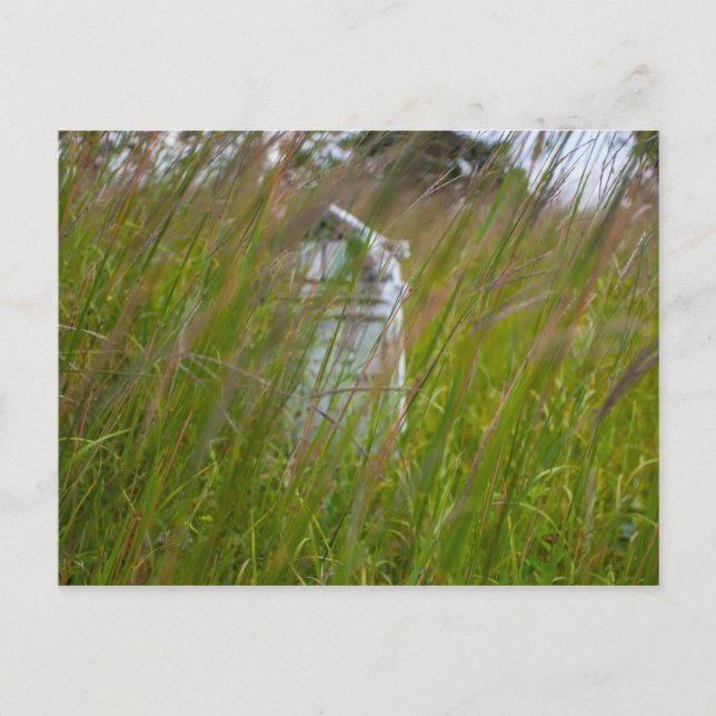 Grave, Smith Friedhof Staat Naturschutzgebiet, Ohi Postkarte (Vorderseite)