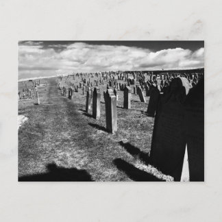 Gravestones, Whitby Abbey, Whitby, North Yorkshire Postkarte