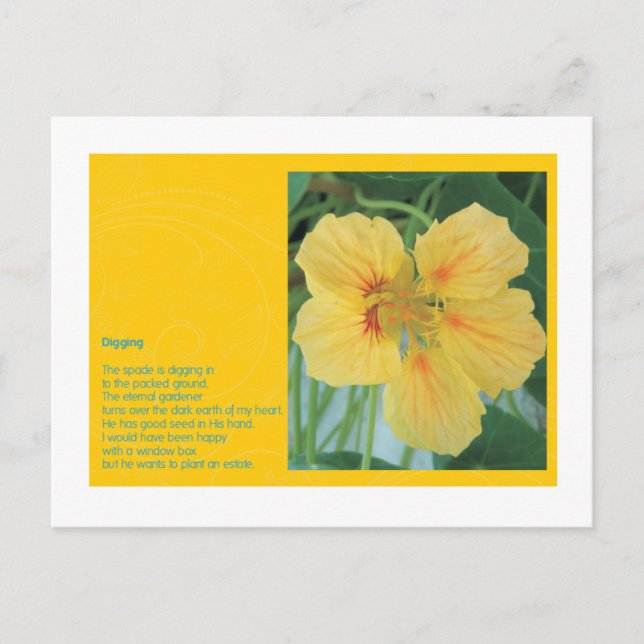 Gravur Postkarte (Vorderseite)