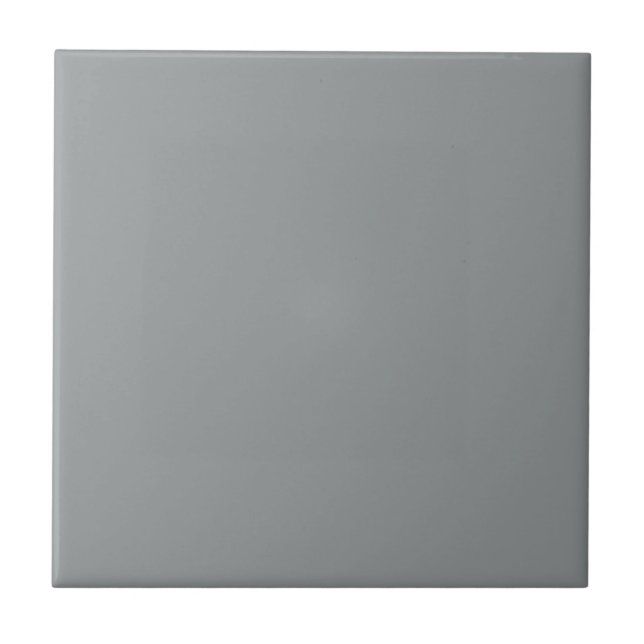 Gray African Parrot Square Küche und Badezimmer Fliese (Vorderseite)