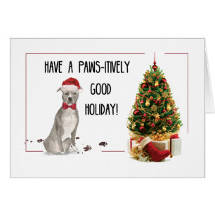 Gray American Staffordshire Terrier Fun Weihnachte