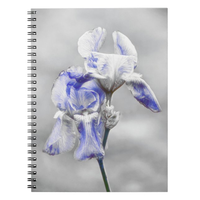 Gray Blue Iris Blume Art Journal Notizblock (Vorderseite)