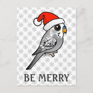 Gray Budgie Santa Claus Feiertagspostkarte