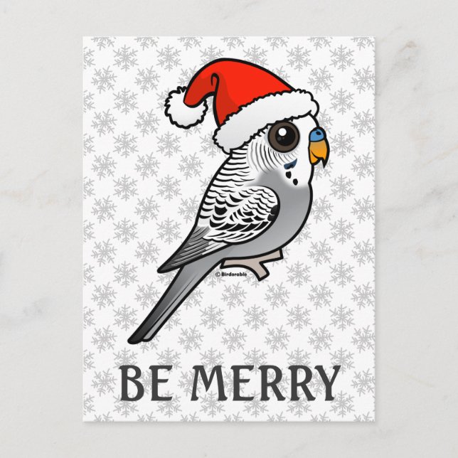 Gray Budgie Santa Claus Feiertagspostkarte (Vorderseite)