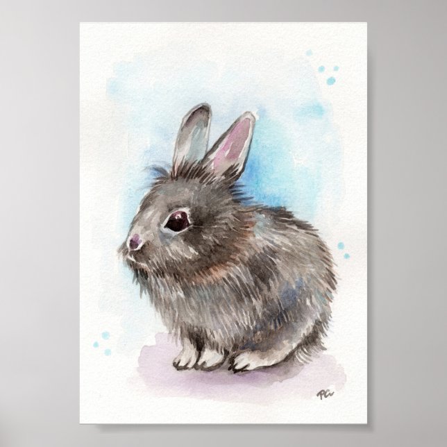 Gray Bunny Poster (Vorne)