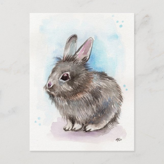 Gray Bunny Postkarte (Vorderseite)