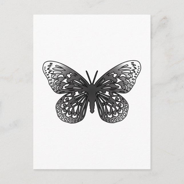Gray Butterfly Postkarte (Vorderseite)