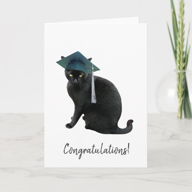 Gray Cat Abschluss Card Karte (Vorderseite)
