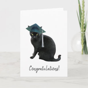 Gray Cat Abschluss Card Karte