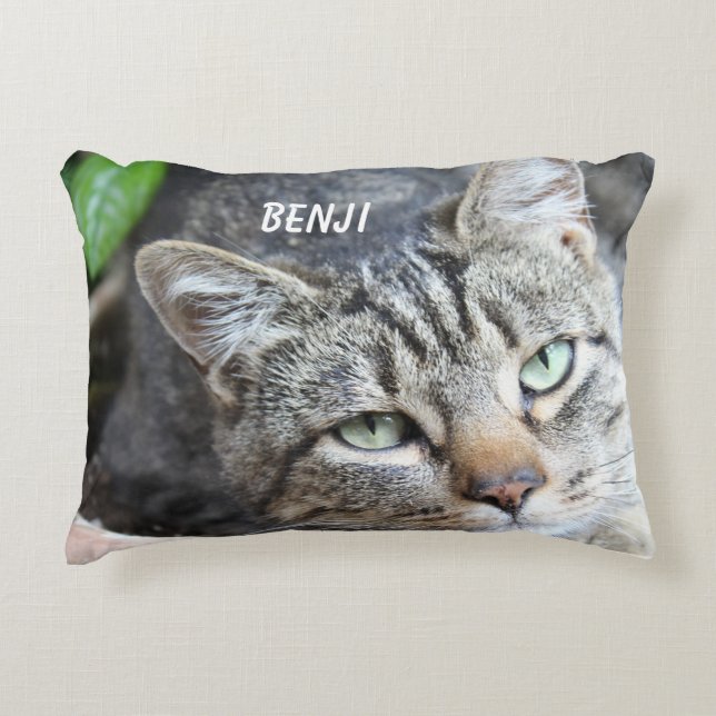 Gray Cat Accent Pillow Dekokissen (Vorderseite)