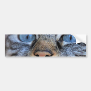 Gray Cat Autoaufkleber