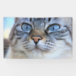 Gray Cat Banner