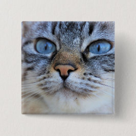 Gray Cat Button