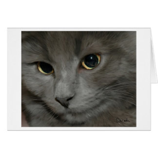 Gray Cat Card