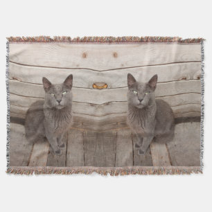 Gray Cat Decke