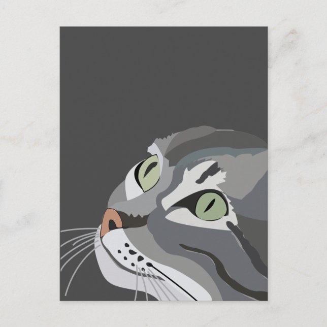 Gray Cat Face Postkarte (Vorderseite)