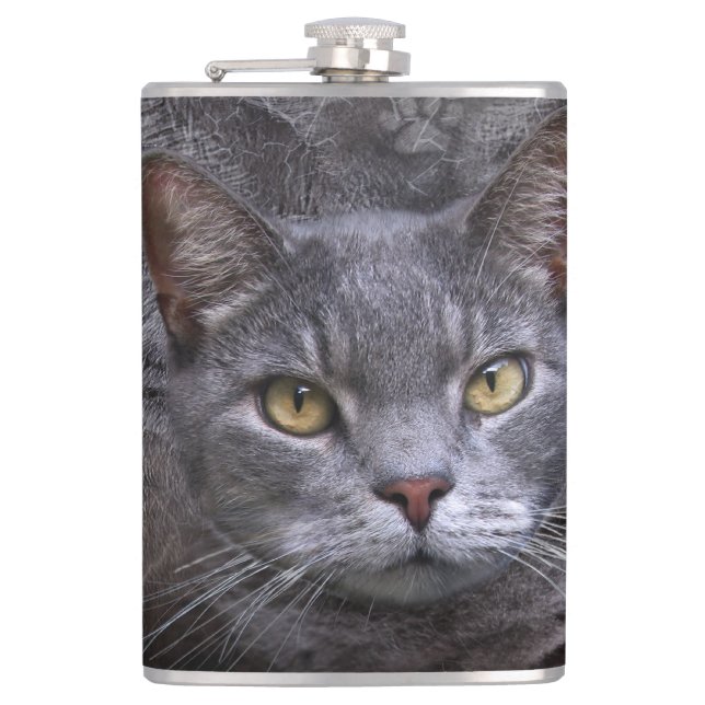 Gray Cat Flachmann (Vorderseite)