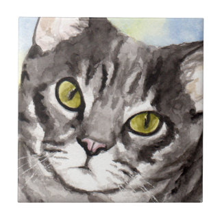 Gray Cat Fliese