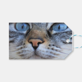 Gray Cat Geschenkanhänger