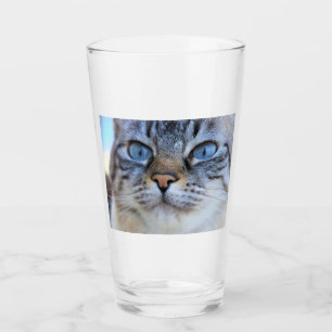 Gray Cat Glas