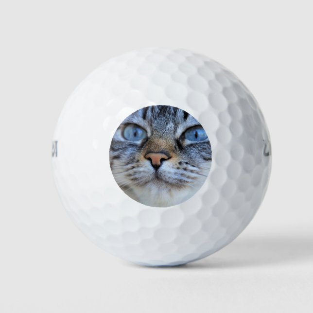 Gray Cat Golfball (Vorderseite)