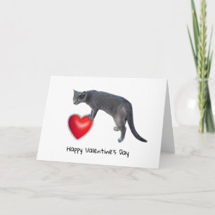 Gray Cat Holding Red Heart Valentine Card Feiertagskarte