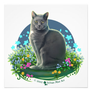 Gray Cat in the Flower Garden Fotodruck
