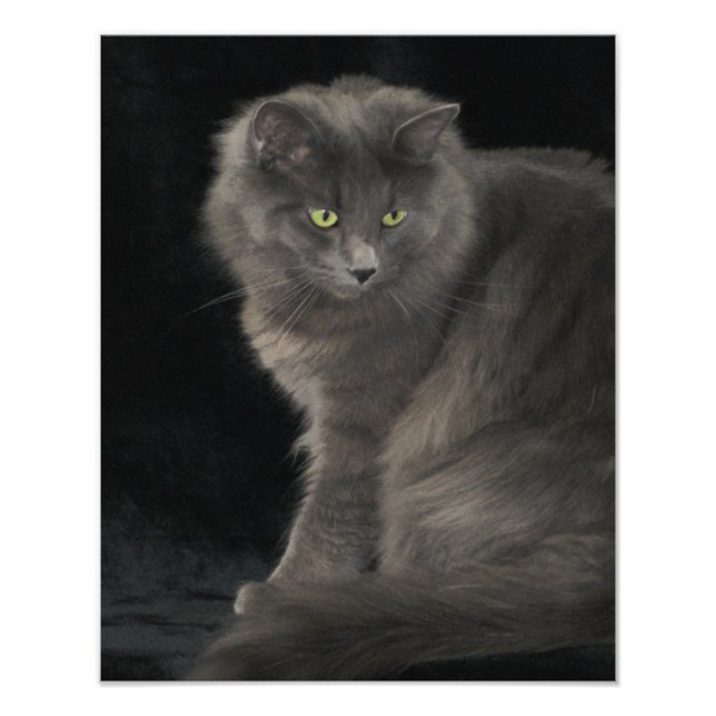 Gray Cat Long Hair Russian Blue Kitten Niedlich Fotodruck (Vorne)