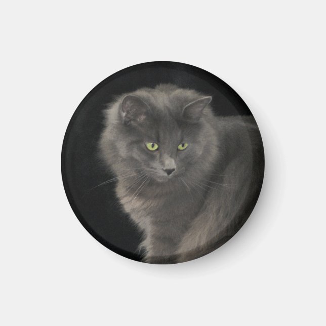 Gray Cat Long Hair Russian Blue Kitten Niedlich Magnet (Vorne)